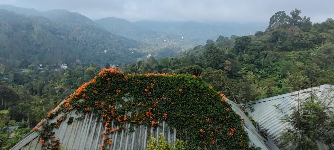 Munnar Tea Hills Resort - Mthr Eksteriør bilde