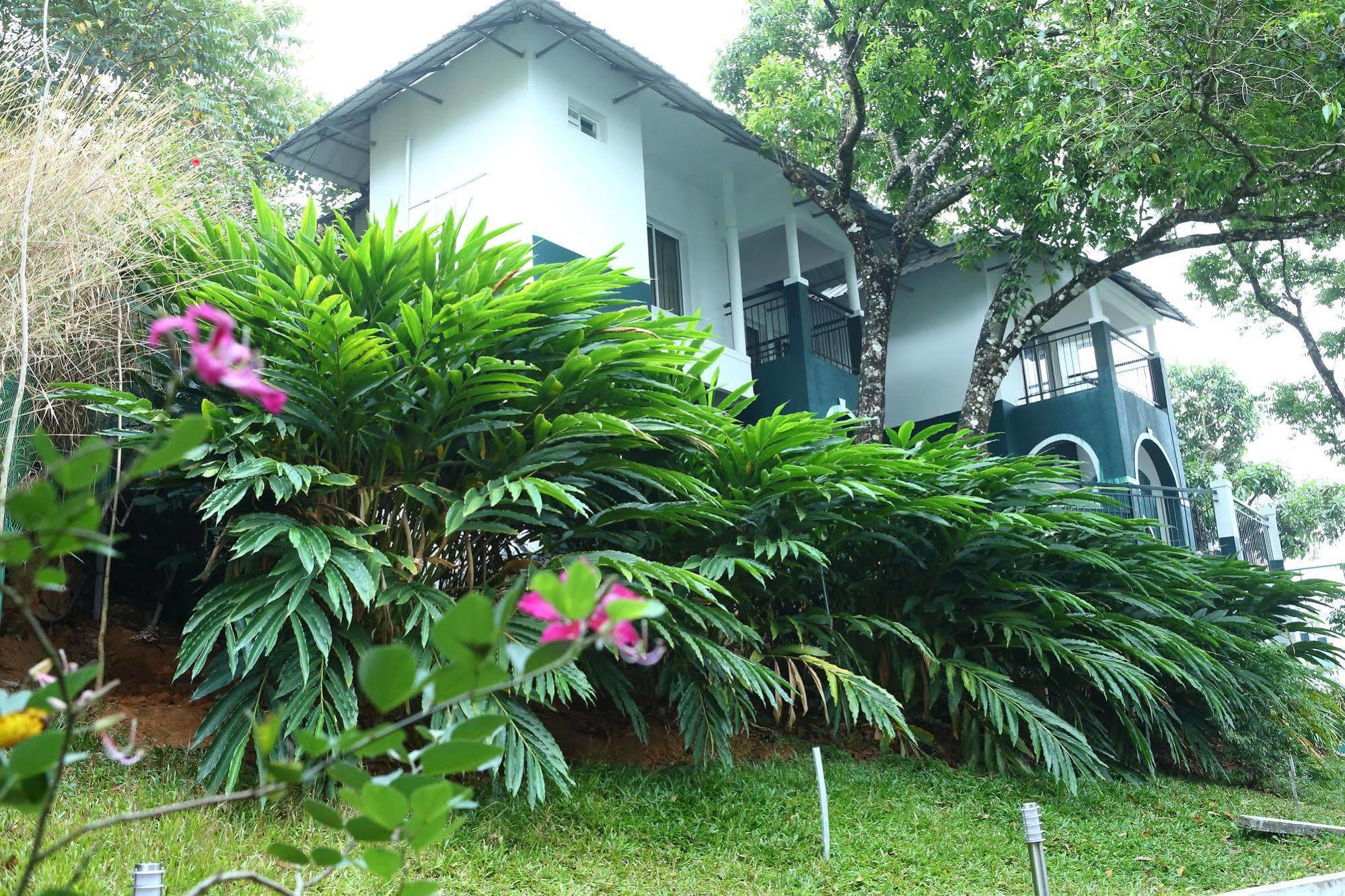 Munnar Tea Hills Resort - Mthr Eksteriør bilde